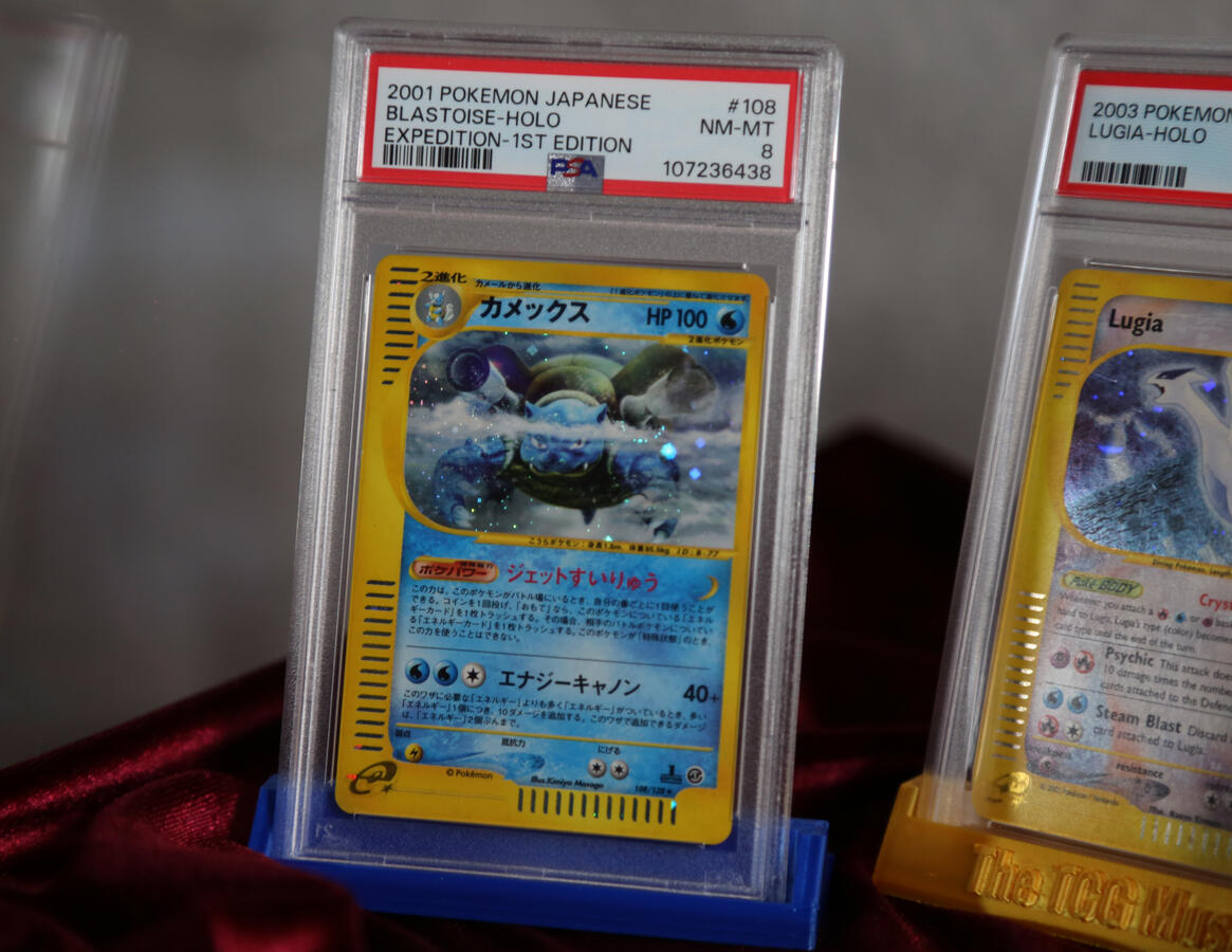 Blastoise Expedition Blastoise Expedition